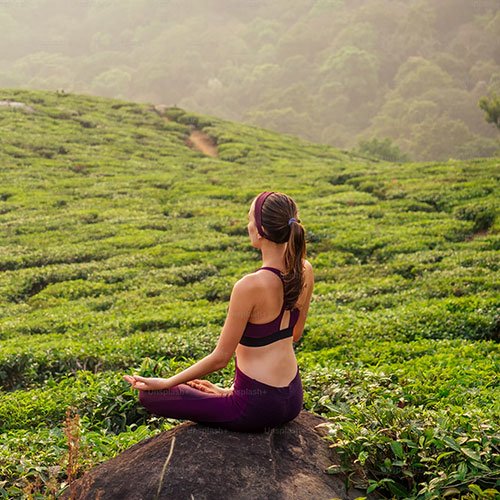 yoga-nature